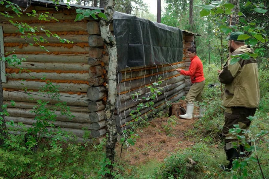 Bushcraft по-русски, 33 день в тайге – Заготовка грибов на зиму