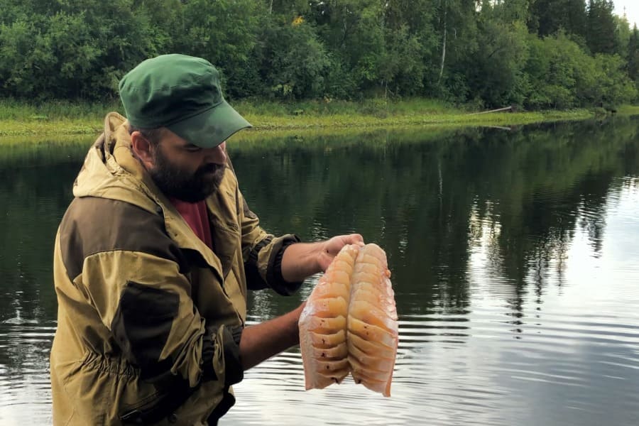 Bushcraft – день 34-35. Рыбалка в глухой тайге. Река забита щукой. Бушкрафт по-русски (часть 24)