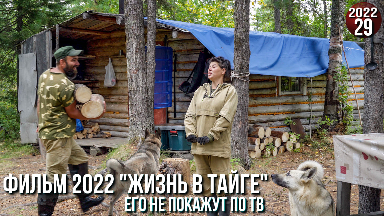 Потеряли Пулю. Заготовка дров на зиму. Рыбалка на щуку. Хозяин тайги опять дает жару. Сибирь 29с