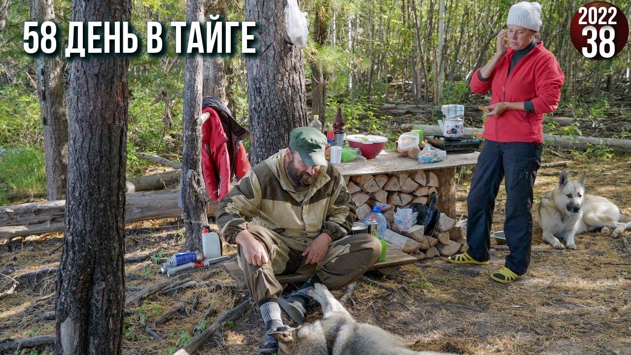 Все лето и осень в тайге Приполярного. Жизнь вдали от цивилизации. Щука на каждый заброс. 38с